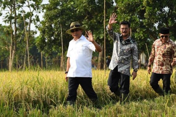 Bupati Situbondo Lindungi Lahan Pertanian dan Sejahterakan Petani - JPNN.COM