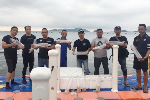 Bea Cukai Palembang Amankan Koper Berisi 17 Ribu Ekor Baby Lobster - JPNN.COM