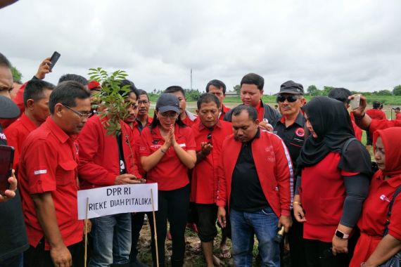 Tanam 1.500 Bibit Pohon, Rieke: Sungai Citarum Sejarah Peradaban dari Tarumanegara-Padjajaran - JPNN.COM