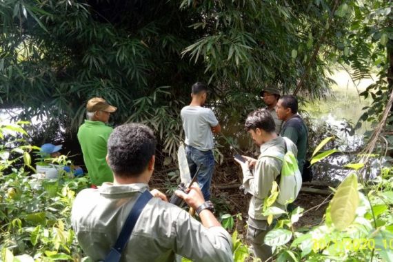 Buaya Sepanjang 1,5 Meter Teror Warga Pasaman Barat - JPNN.COM