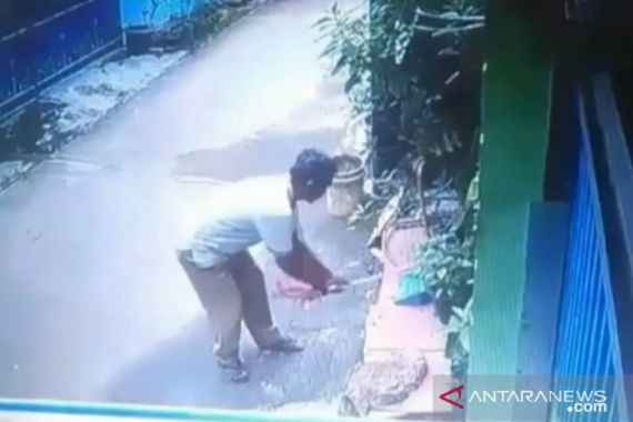 Pria di Bekasi Pukuli Kucing sampai Mati - JPNN.COM