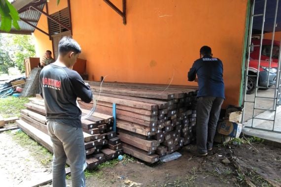 Gakkum KLHK: Kasus Illegal Logging di Ketapang Segera Disidangkan - JPNN.COM