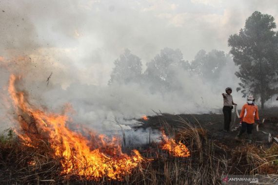 Karhutla di Riau Meluas, Tersangka Pembakaran Baru 21 Orang - JPNN.COM