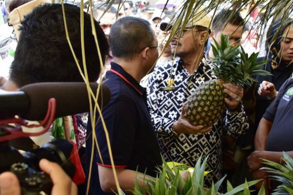 Mentan: Nenas Indonesia Berpeluang Besar Langsung Masuk Pasar Eropa - JPNN.COM