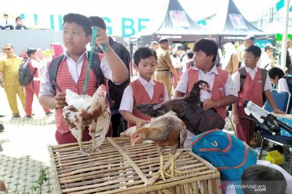 Program Bagi-bagi Anak Ayam ke Pelajar Bakal Dilanjutkan - JPNN.COM