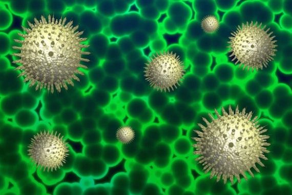 Jumlah Kematian Akibat Virus Corona di Spanyol Melampaui China - JPNN.COM