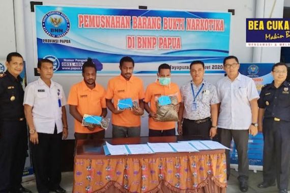 Bea Cukai dan BNNP Papua Musnahkan Narkotika - JPNN.COM