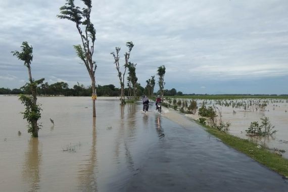 Kementan Siap Bantu Mitigasi Sawah di Majalengka - JPNN.COM