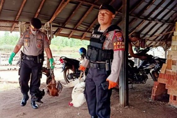 Penjudi Sabung Ayam Kocar-kacir Digerebek Polisi - JPNN.COM