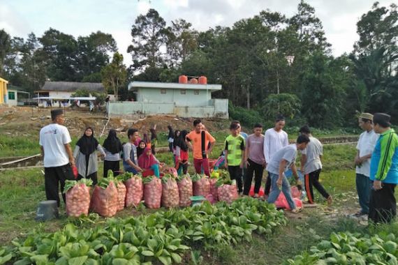 Penerima Program Pertanian Masuk Sekolah Tetap Beraktivitas di Tengah Wabah Covid-19 - JPNN.COM