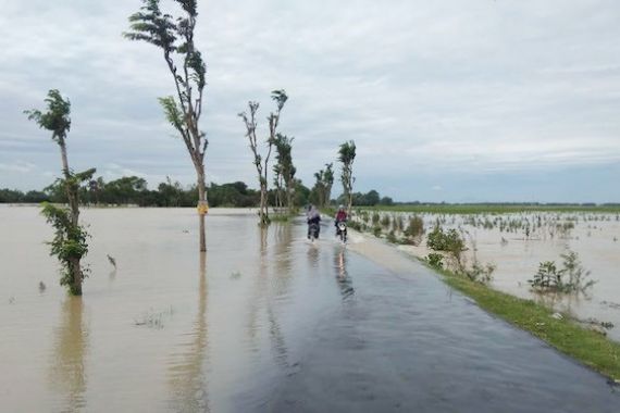 600 Ha Sawah Banjir, Petani Bisa Klaim Asuransi - JPNN.COM