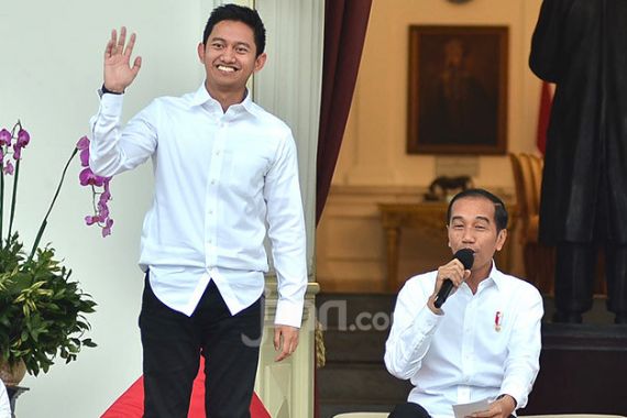 Ada Ruangguru Milik Staf Khusus Jokowi di Kartu Prakerja, Kok Bisa? - JPNN.COM