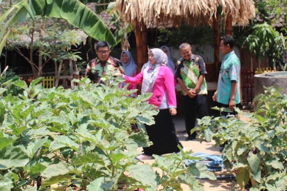 Kelompok Wanita Tani di Jateng Manfaatkan Pekarangan untuk Memenuhi Kebutuhan Pangan - JPNN.COM