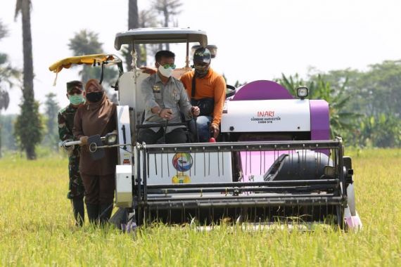 Jajal Combine Harvester, Mentan Gelar Panen Raya di Kabupaten Pandeglang - JPNN.COM