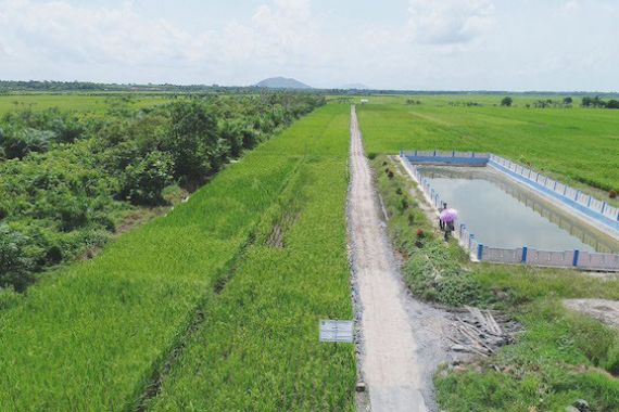 Pemerintah Target Buka Lahan Pertanian Baru di Kalteng - JPNN.COM