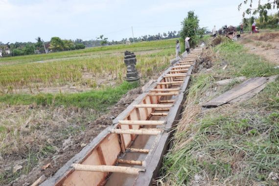 Kementan Laksanakan Kegiatan RJIT di Wilayah Bali seluas 5.245 ha - JPNN.COM