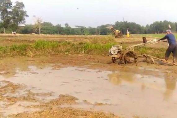 Petani Cikarang Tetap Semangat Tanam Padi di Tengah Pandemi Corona - JPNN.COM