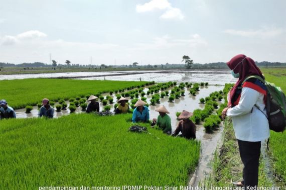 Penyuluh dan Petani Ngawi Modifikasi Pertemuan SL Untuk Percepatan Tanam - JPNN.COM