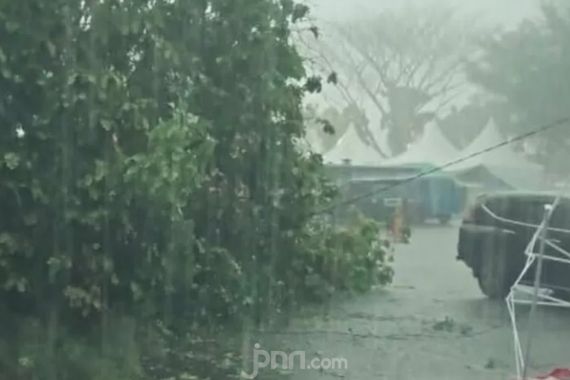 Jakarta Diguyur Hujan, Pohon Tumbang Menimpa Mobil di Jaksel - JPNN.COM
