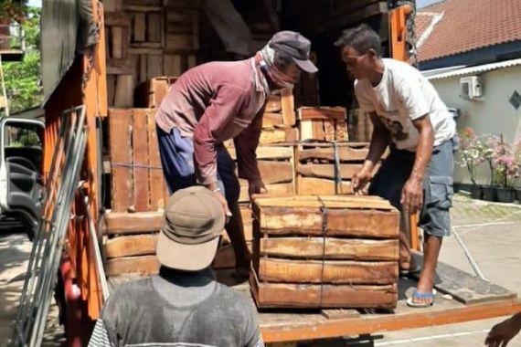 Kejar Truk Buah Tujuan Sumatera, Bea Cukai Berhasil Cegah Potensi Kerugian Negara - JPNN.COM