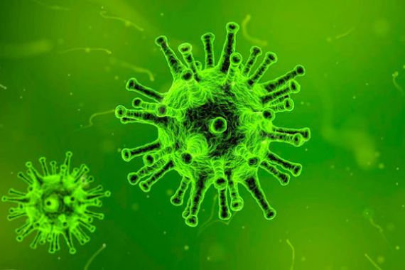 Ahli Epidemiologi Sebut Virus Corona tak Bisa Menular dari Makanan - JPNN.COM
