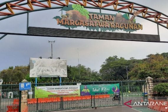 Libur Akhir Pekan, 7224 Orang Kunjungi Taman Margastwa Ragunan - JPNN.COM
