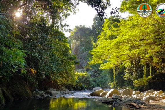 Sudah Rindu Wisata Alam? KLHK sudah Buka Taman Nasional Lagi, Ini Penjelasannya - JPNN.COM