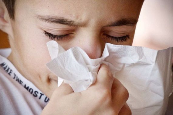 Hidung Berair, Akibat Sinusitis atau Alergi? - JPNN.COM