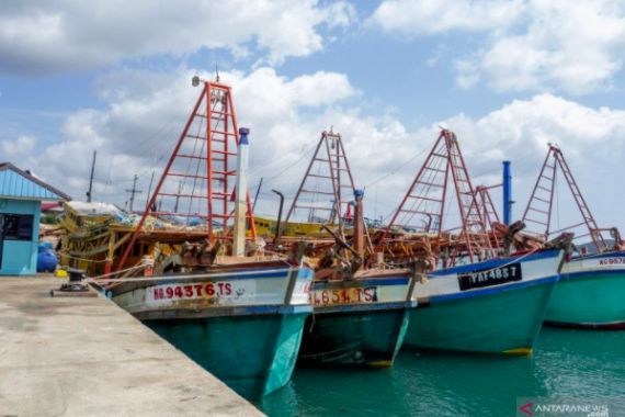 Terganjal Lamanya Proses SKP, Perusahaan Perikanan Sulit Ekspor Hasil ke Luar Negeri - JPNN.COM