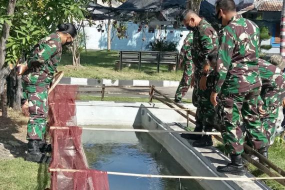 Lanal Denpasar Kembali Menebarkan Ribuan Benih Ikan Lele - JPNN.COM