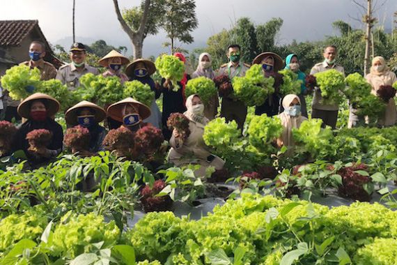 KWT Binama Manfaatkan Lahan Pekarangan Tanam Sayuran Berkualitas - JPNN.COM