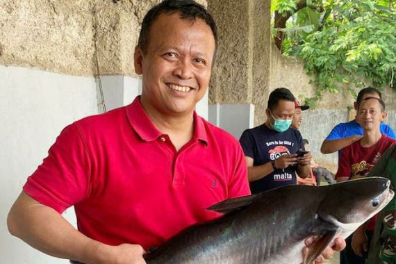 Heboh Ikan Dori adalah Ikan Patin, Menteri Edhy Bilang Begini - JPNN.COM