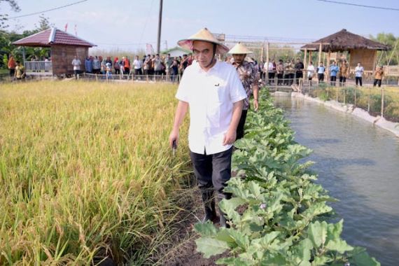 Ikut Panen Padi, Wamen Budi Arie Tegaskan Desa Tetap Produktif di Masa Pandemi - JPNN.COM