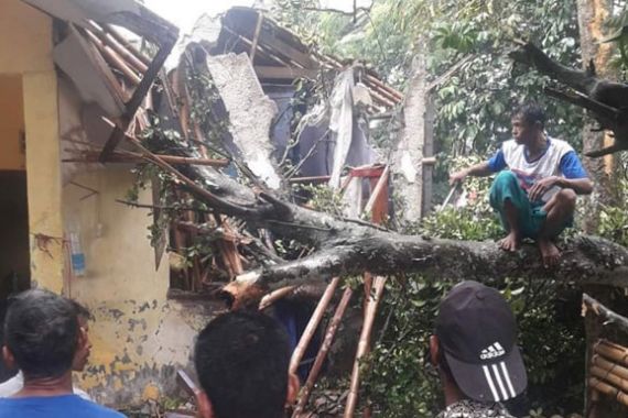 Rumah Warga Bogor Hancur Tertimpa Pohon Tumbang - JPNN.COM