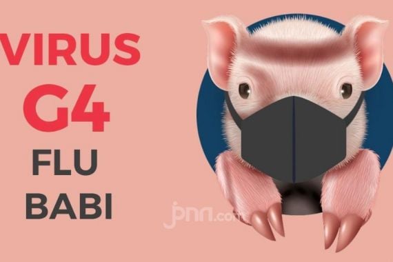 Simak Hasil Penelitian Terkini Soal Virus Flu Babi Baru Berpotensi Pandemi - JPNN.COM