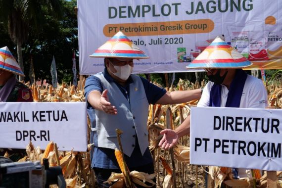 Petrokimia Gresik Genjot Produktivitas Pertanian di Gorontalo, Hasilnya Memuaskan - JPNN.COM