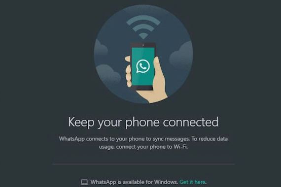 Cara Mudah Mengaktifkan Fitur Dark Mode di WhatsApp Web - JPNN.COM