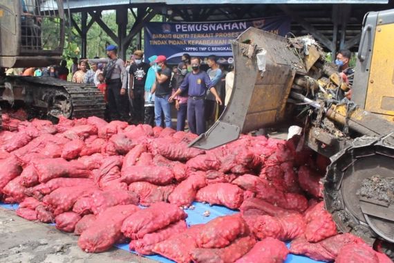 Bea Cukai Kuala Langsa Musnahkan 2,06 Ton Bawang Merah Ilegal - JPNN.COM