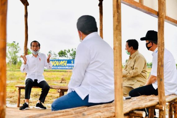 Jokowi Tinjau Lokasi Pengembangan Lumbung Pangan Nasional di Kapuas - JPNN.COM