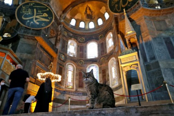 Masih Bolehkah Gli Tinggal di Hagia Sophia? - JPNN.COM