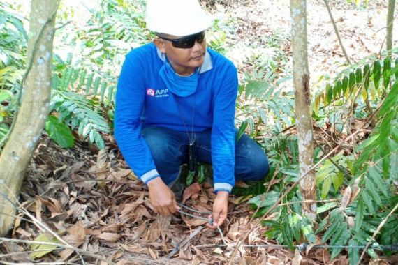 BBKSDA Riau Apresiasi Giat Sisir Jerat sebagai Upaya Pelestarian Satwa Liar - JPNN.COM
