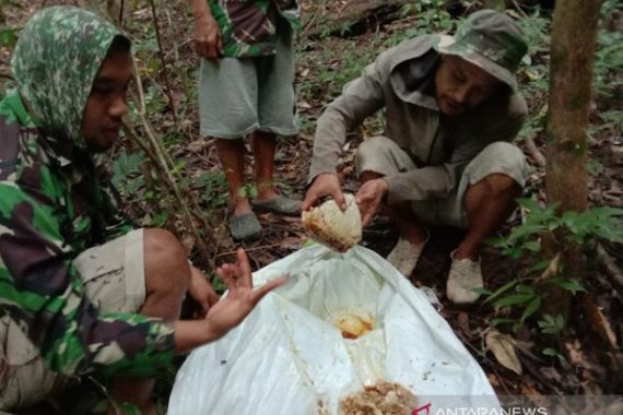 Kabar Gembira Dari Petani Madu Hutan di Makassar - JPNN.COM