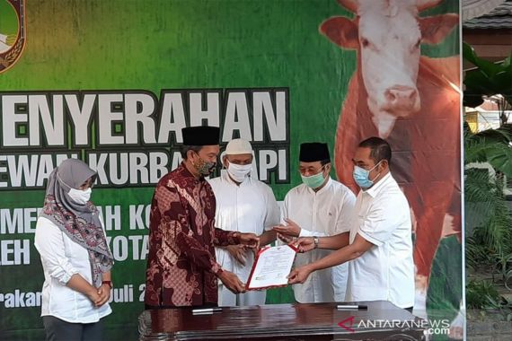Sembuh dari COVID-19, Achmad Purnomo Serahkan Sapi Jokowi ke Masjid Agung - JPNN.COM