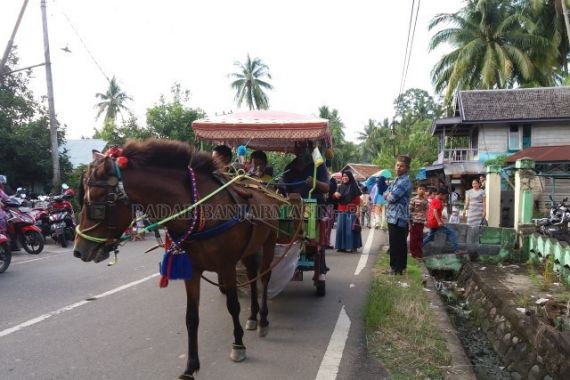 Kuda Sedang Sakit Dipaksa Menarik Delman, Tiba-tiba Mati di Istana Bogor, Teganya - JPNN.COM