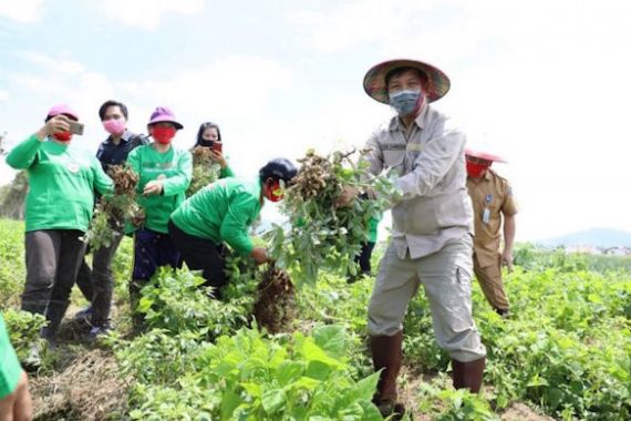 Terbukti, Sektor Pertanian dan Perkebunan Tetap Bertahan di Tengah Pandemi COVID-19 - JPNN.COM