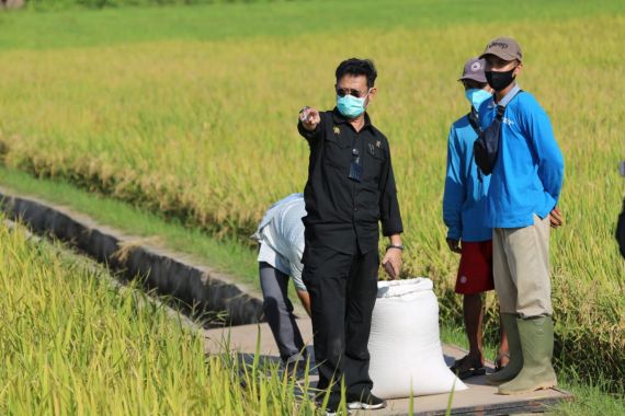 Kementan Jadikan HUT ke-75 RI Momentum Bangkitkan Korporasi Tanaman Pangan - JPNN.COM