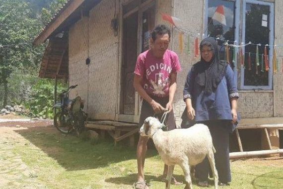 Yn Tidak Punya Uang, Biaya Perbaiki kWh Rusak Diganti Seekor Domba, PLN Bilang Begini - JPNN.COM