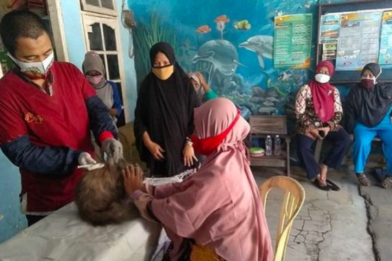 Kasus Gigitan Hewan Penularan Rabies di Jakarta Meningkat, Tolong Perhatikan Imbauan Dinkes! - JPNN.COM