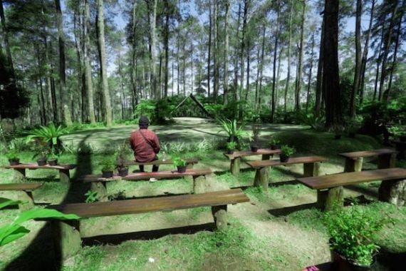 Keren, Teras Paphio Orchid Forest Jadi Spot Wisata Bandung Unik dan Menarik - JPNN.COM