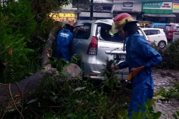 Puncak Bogor Diterjang Angin Kencang, Pohon Tumbang, Mobil Ringsek - JPNN.COM